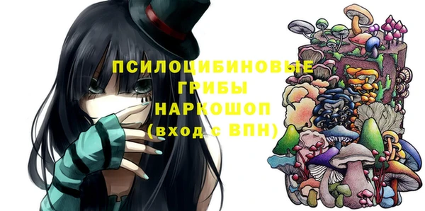 твердый Алексеевка