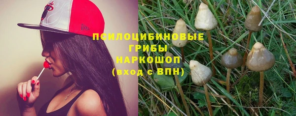 твердый Алексеевка