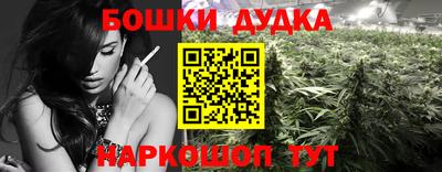 мяу мяу кристалл Аша