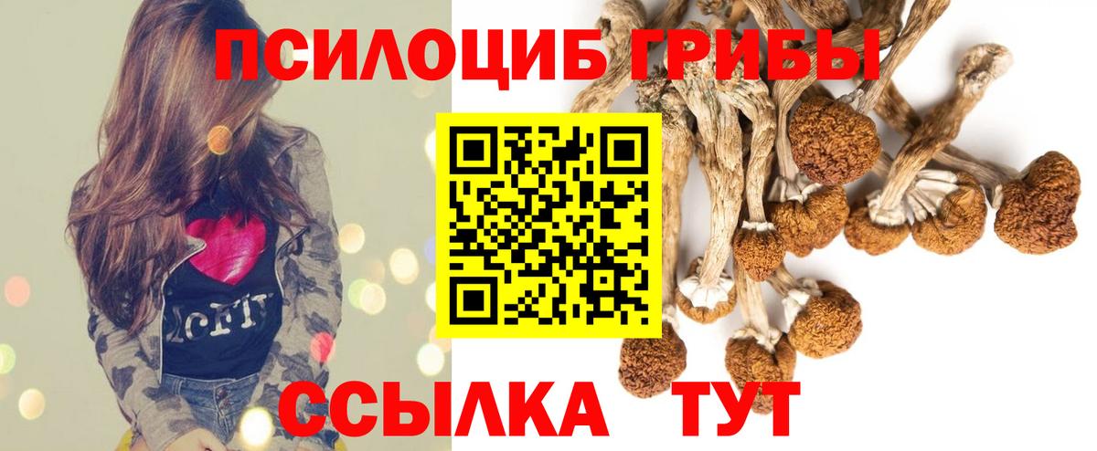 Галлюциногенные грибы Psilocybe  купить наркоту  Псилоцибиновые грибы Cubensis  Белгород  Вход с VPN 