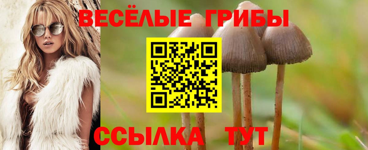 Галлюциногенные грибы ЛСД Белгород